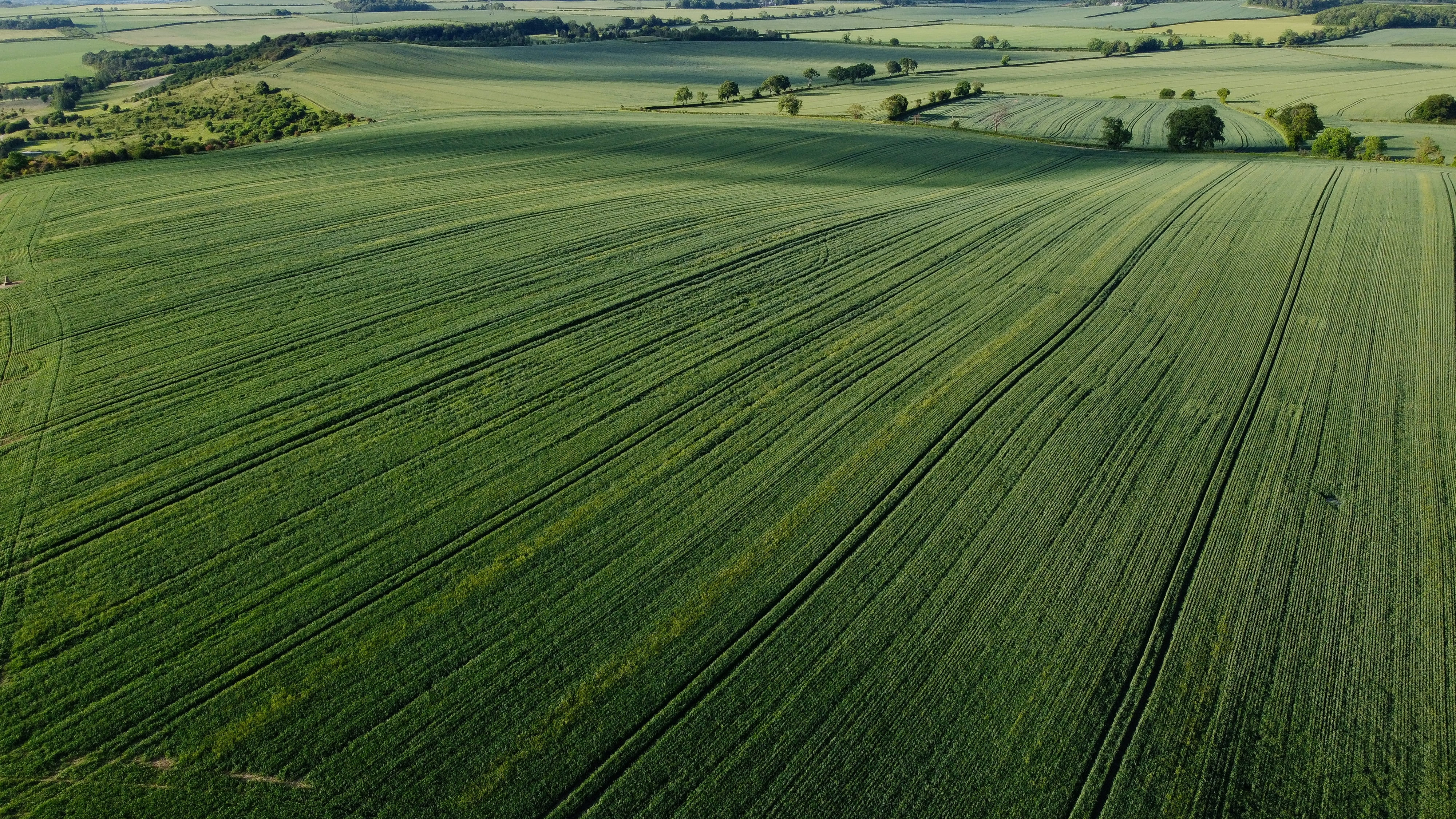 Mar Chiquita landscape